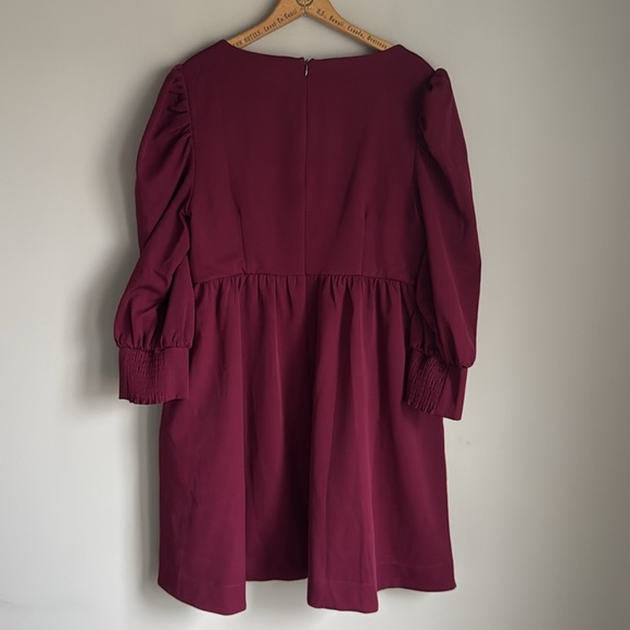 Tuckernuck Burgundy Mini Dress - Picture 3 of 13